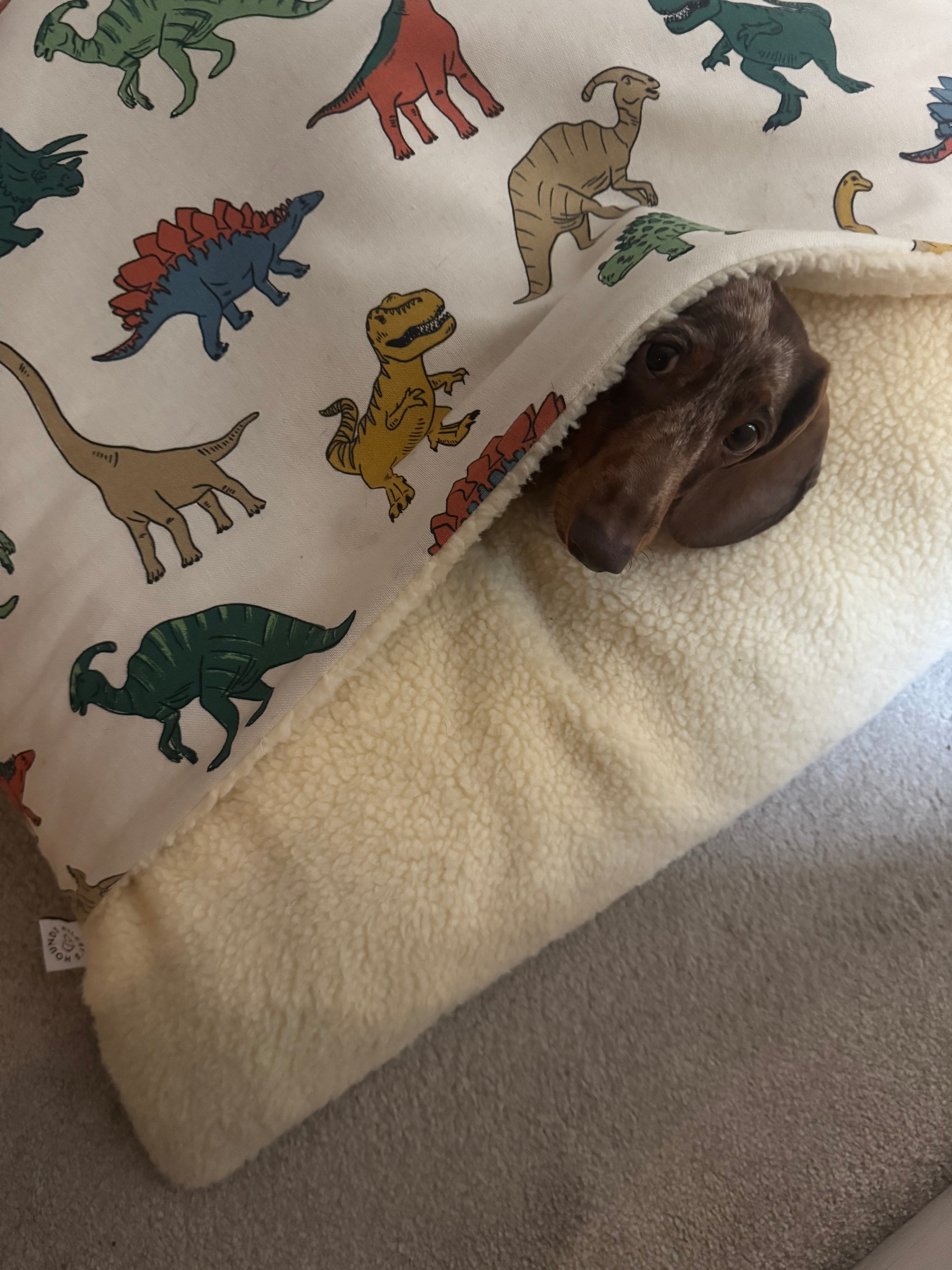 Snuggle Sacks