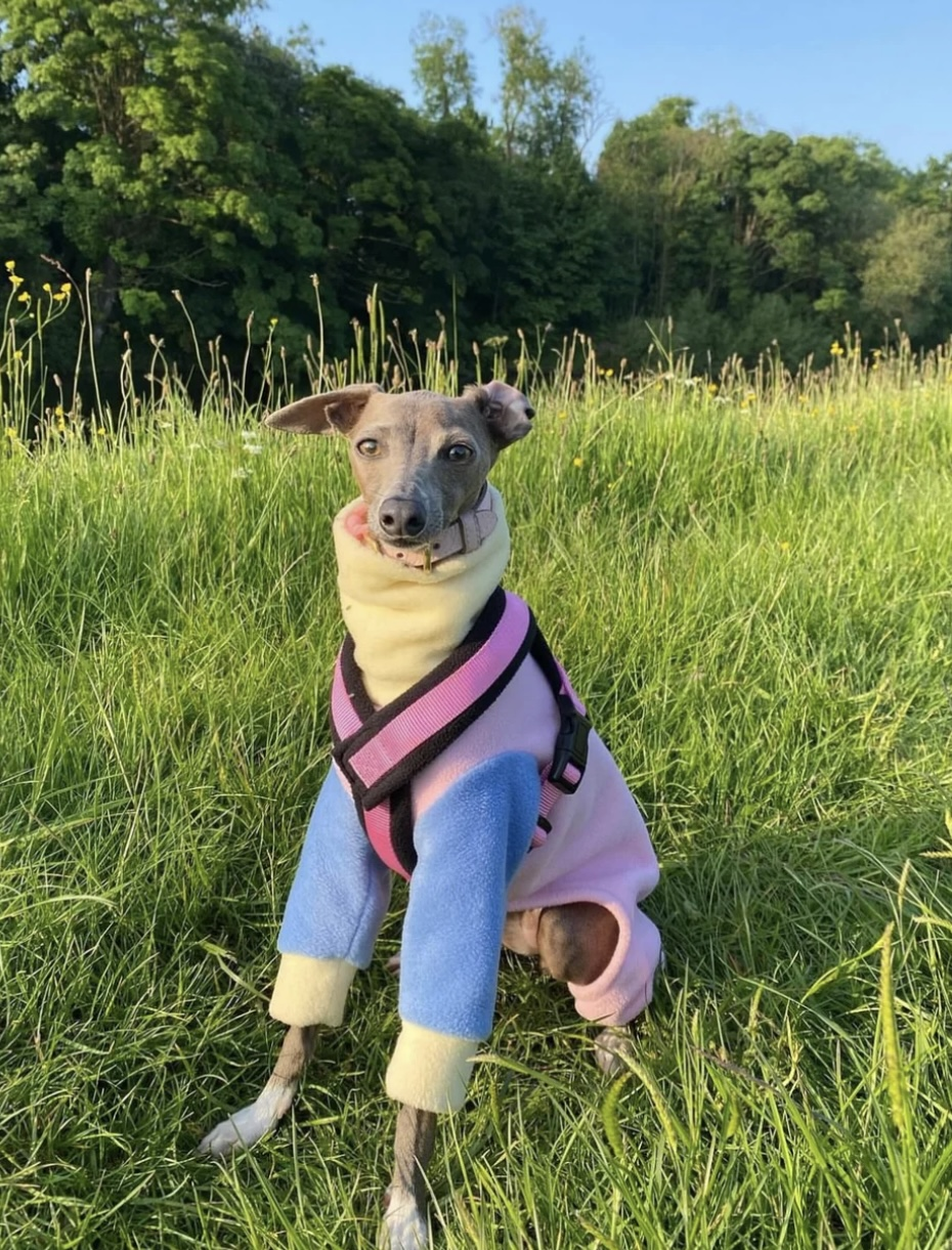 Rainbow Fleece