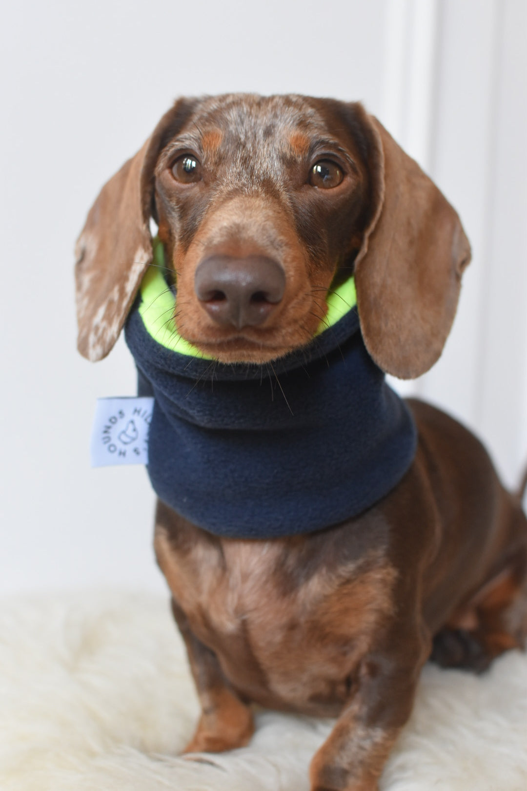 Snoods