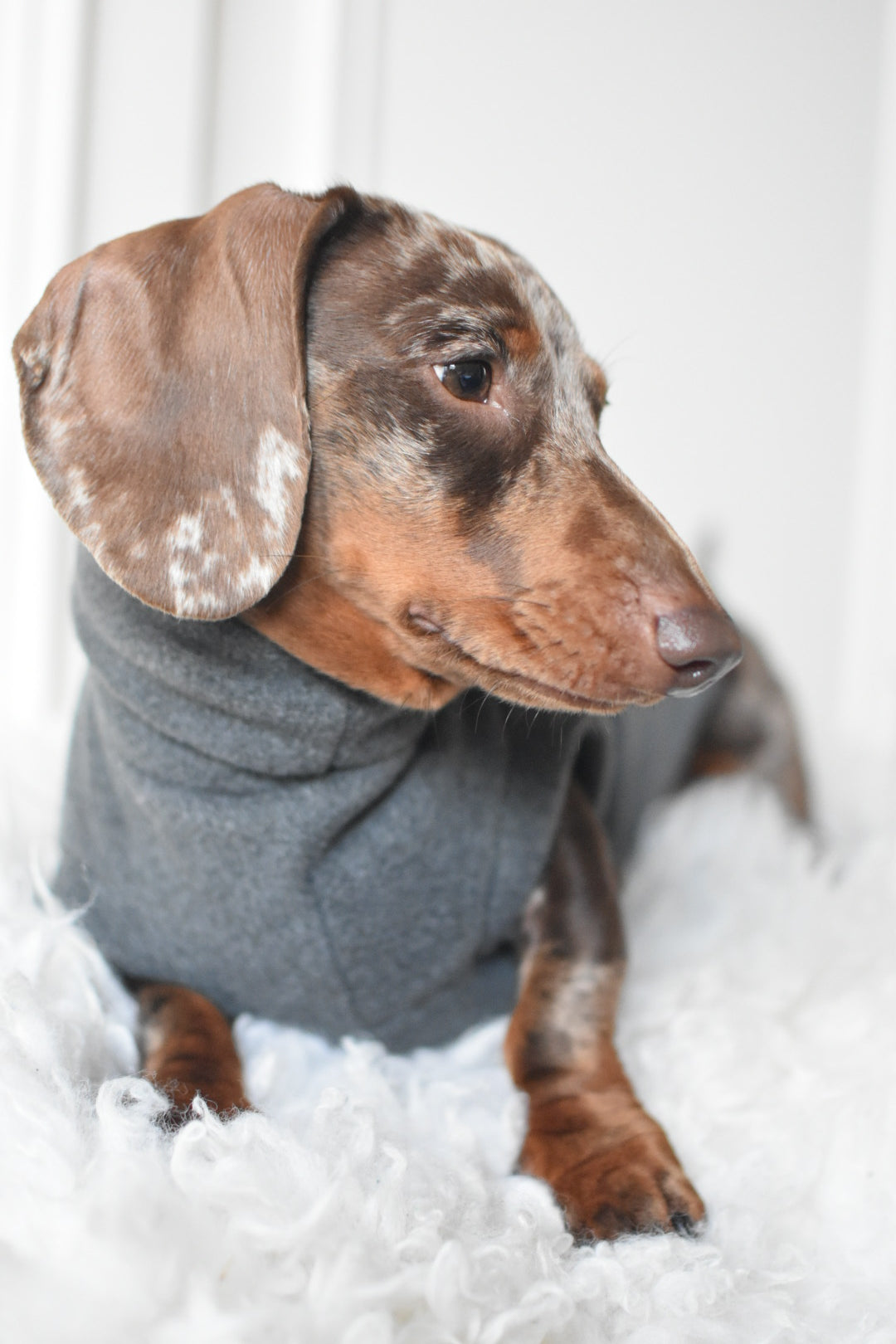 Original Fleece