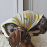 Italian Riviera- Lemon Fleece