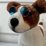 Doggy Sunglasses
