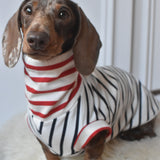 Ahoy There Sailor Jersey