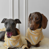 Italian Riviera - Yellow Sparkle Stripes