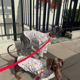 Back To School Jersey