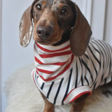 Ahoy There Sailor Jersey