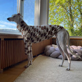 Jungle Jerseys ( Tiger, Bear, Hedgehog)