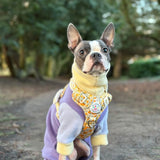 Pastel Rainbow Fleece