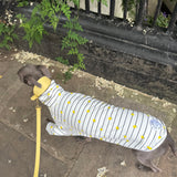 Italian Riviera- Striped Little Lemon Jersey