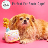 Rainbow Sparkle Dog Happy Birthday Cake