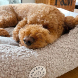 Sherpa Bed