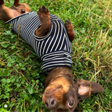 Oh La La Navy Stripe Jersey