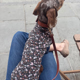 Chocolate Floral Jersey