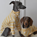 Italian Riviera - Yellow Sparkle Stripes