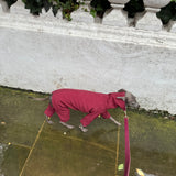 Waterproof Full Fleece Suit