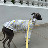 Italian Riviera- Striped Little Lemon Jersey