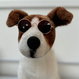 Doggy Sunglasses