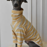 Italian Riviera - Yellow Sparkle Stripes