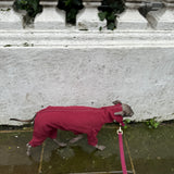 Waterproof Full Fleece Suit