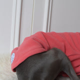 Sessel’s Coral Fleece