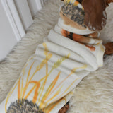 Woodland Squirrels & Hedgehogs