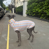 Pastel Stripe Jersey