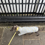 Italian Riviera- Striped Little Lemon Jersey