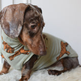 Jungle Jerseys ( Tiger, Bear, Hedgehog)