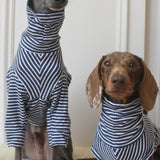 Birthday Navy Stripe