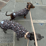 Chocolate Floral Jersey