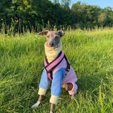Pastel Rainbow Fleece