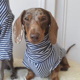 Birthday Navy Stripe