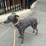 Chocolate Floral Jersey