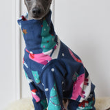 Christmas Dino 🦖 🦕