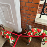 Strawberry Feilds Forever Fleece