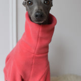 Sessel’s Coral Fleece