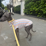 Pastel Stripe Jersey