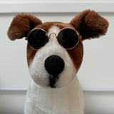 Doggy Sunglasses