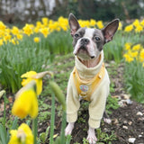 Black Friday Christmas Bundle x3 Fleece