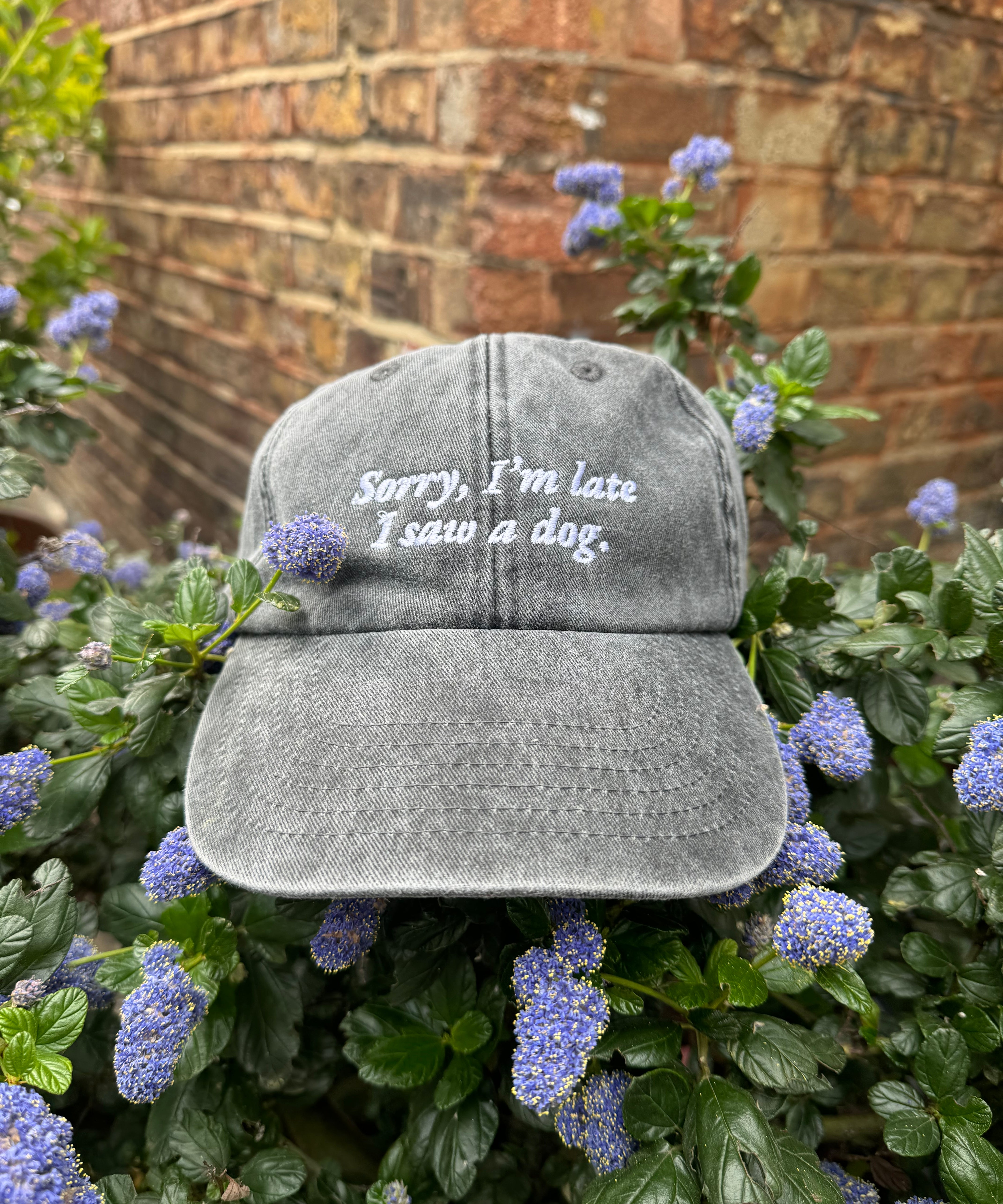 Cap- Sorry I’m late..