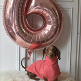 Sessel’s Coral Fleece