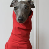 Waterproof Full Fleece Suit