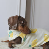 Italian Riviera- Lemon Fleece