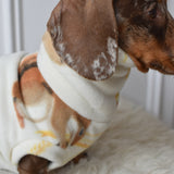 Woodland Squirrels & Hedgehogs