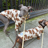 Jungle Jerseys ( Tiger, Bear, Hedgehog)