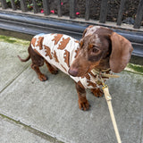 Jungle Jerseys ( Tiger, Bear, Hedgehog)