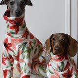 Poinsettia Luxe Fleece