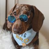 Doggy Sunglasses