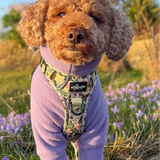 Lavender Fleece
