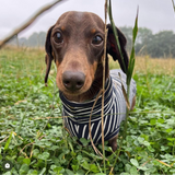 Oh La La Navy Stripe Jersey